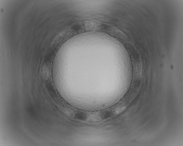 X0000074230705200609011242