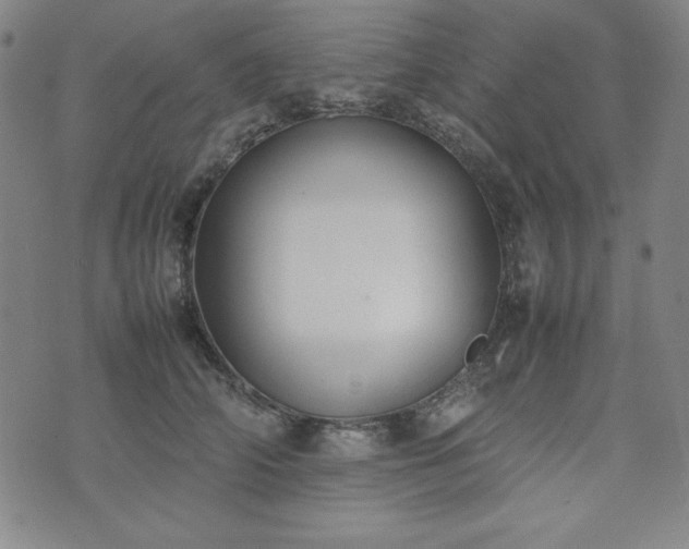 X0000074230706200609011242