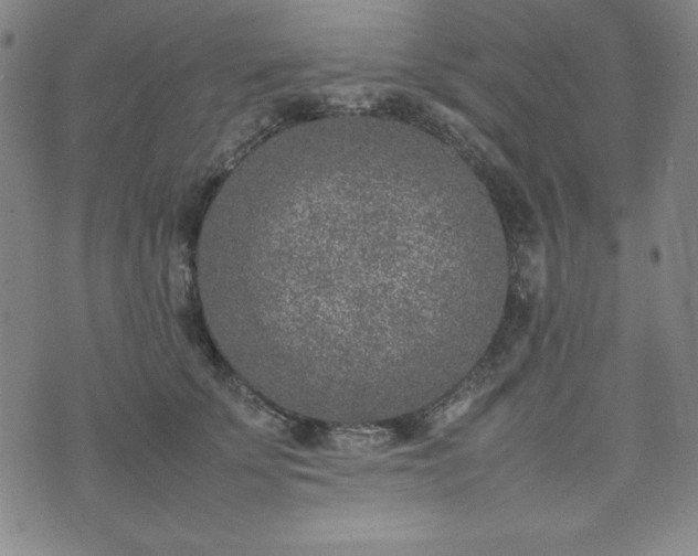 X0000074230707200609011242