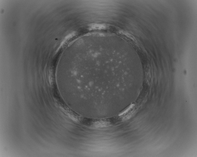 X0000074230708200609011242