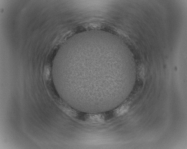 X0000074230709200609011242