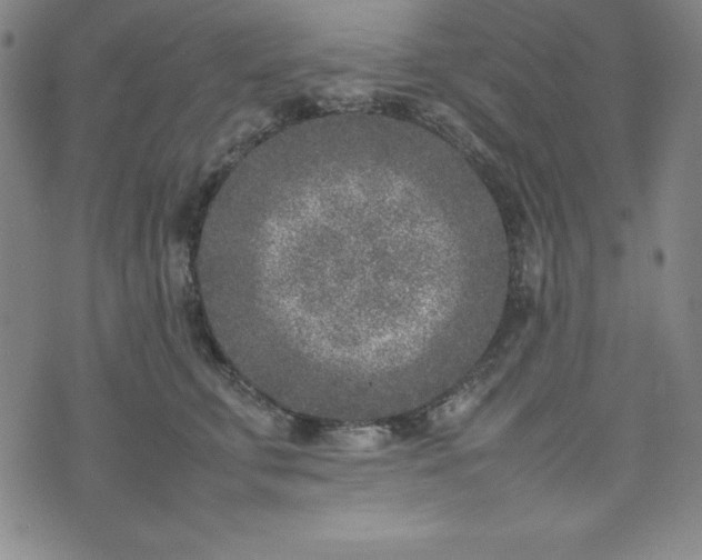 X0000074230711200609011242