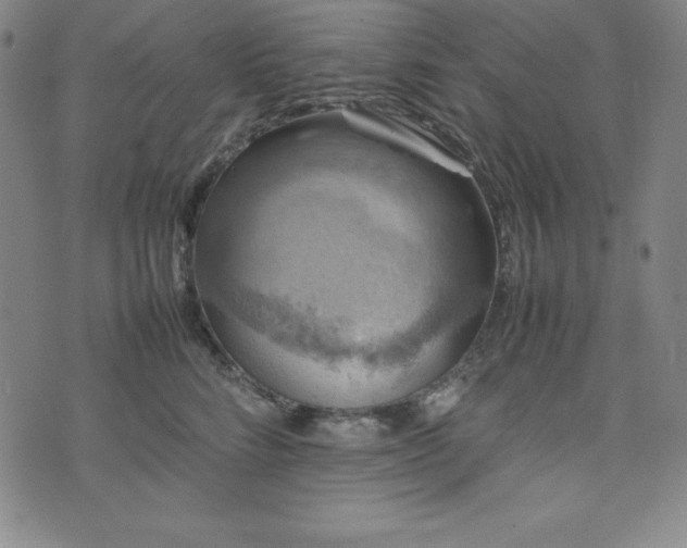 X0000074230712200609011242