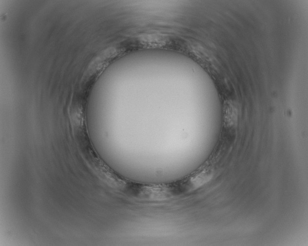 X0000074230713200609011242