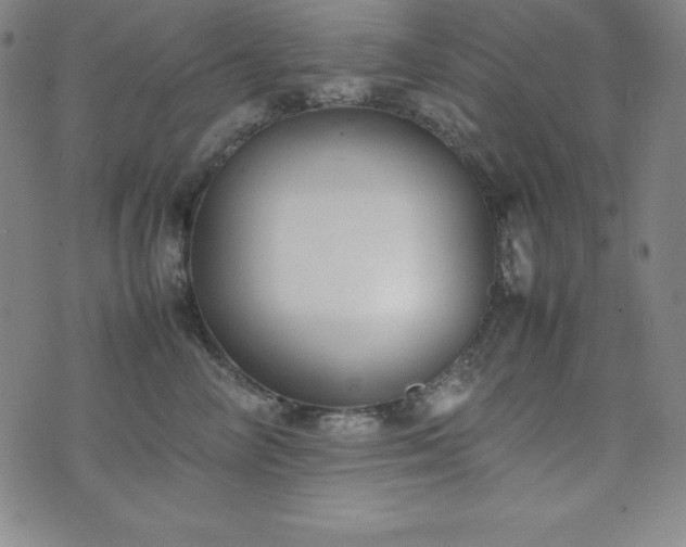 X0000074230714200609011242