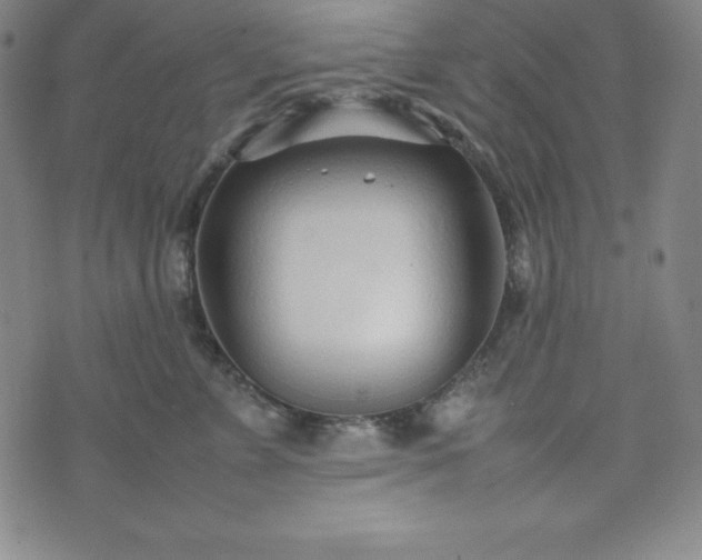 X0000074230715200609011242