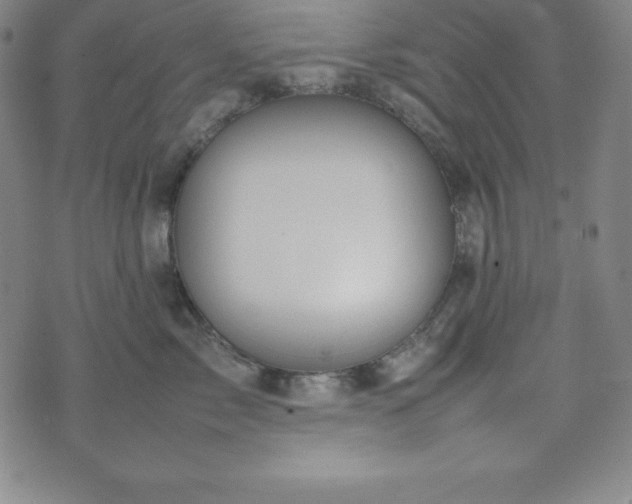 X0000074230717200609011242