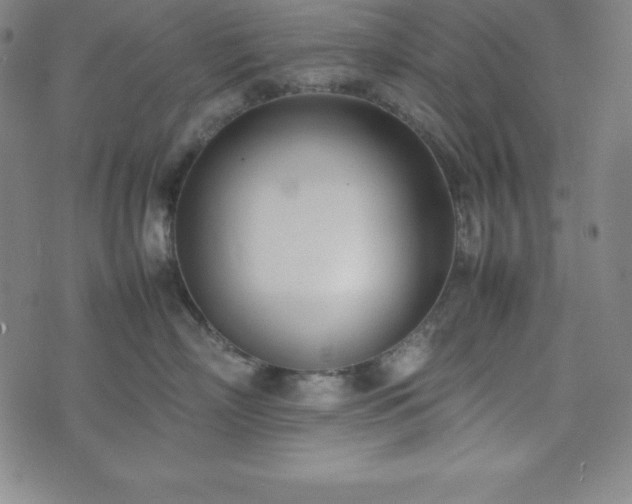 X0000074230718200609011242