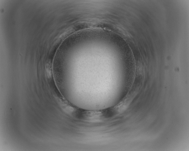 X0000074230719200609011242