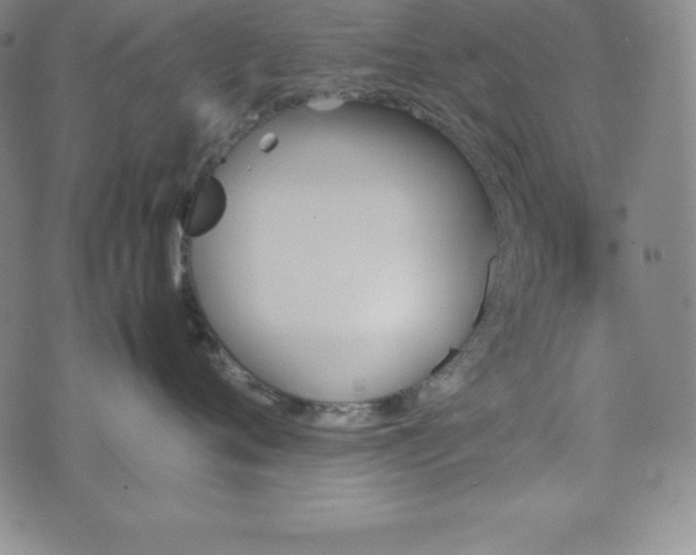 X0000074230720200609011242