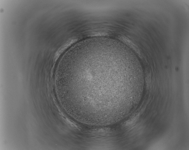 X0000074230721200609011241