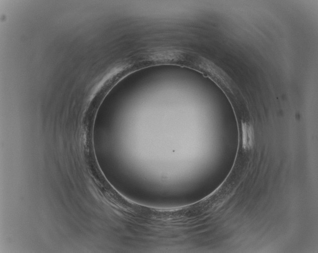 X0000074230723200609011241