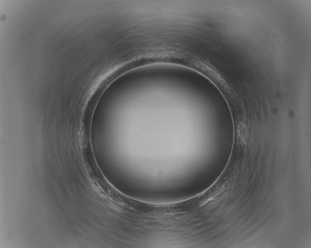 X0000074230724200609011241