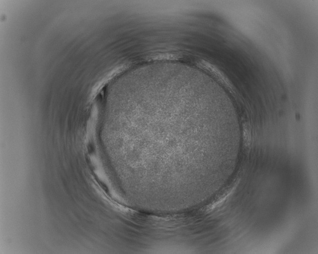 X0000074230725200609011241