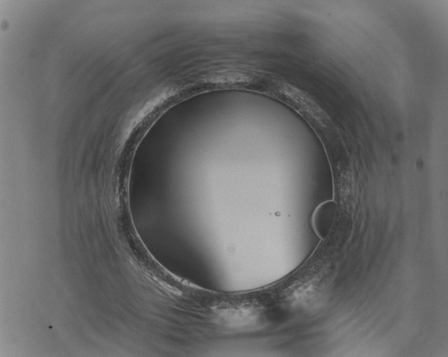 X0000074230727200609011241