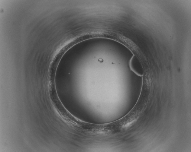 X0000074230728200609011241