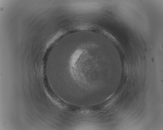 X0000074230730200609011241