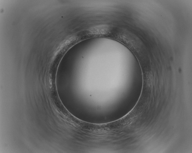 X0000074230731200609011241