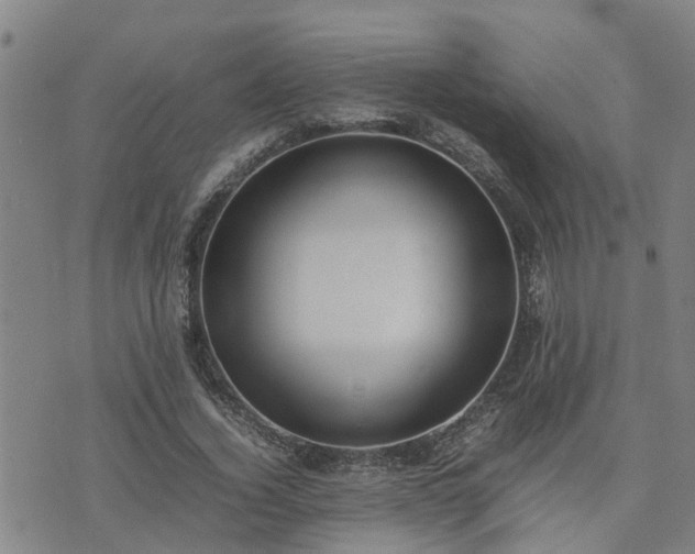 X0000074230732200609011241