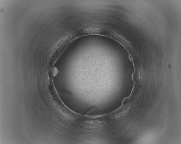 X0000074230733200609011241