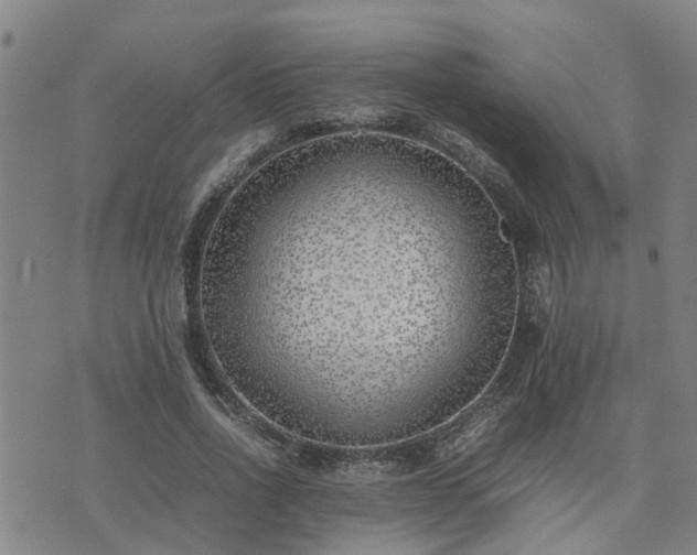 X0000074230734200609011241