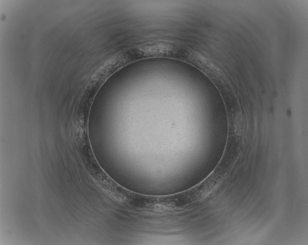 X0000074230737200609011241