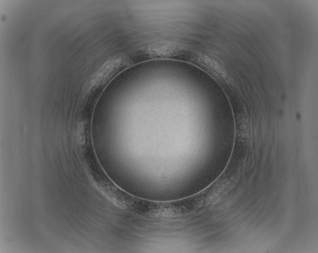 X0000074230738200609011241