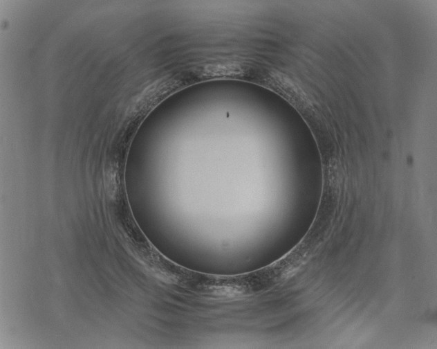 X0000074230741200609011241