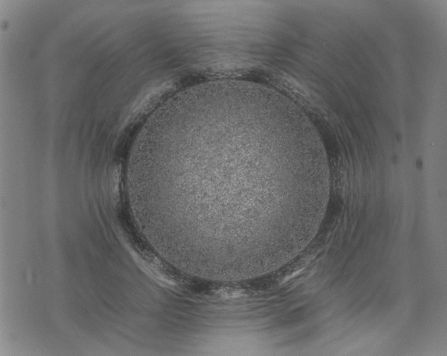 X0000074230742200609011241