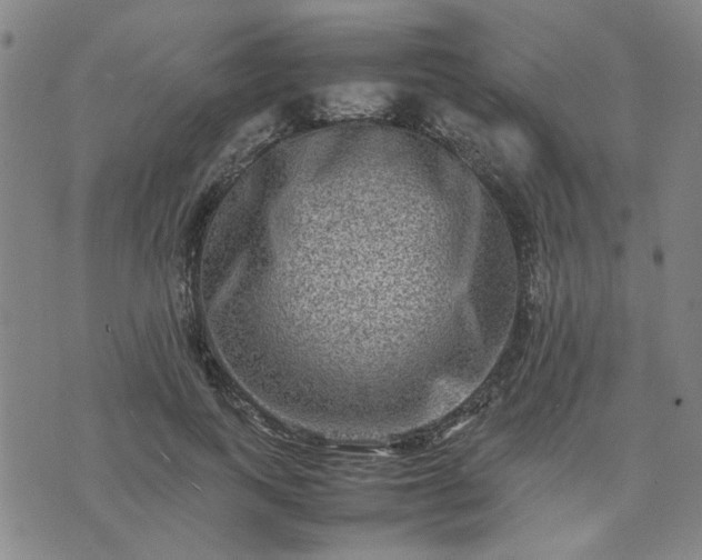 X0000074230743200609011241