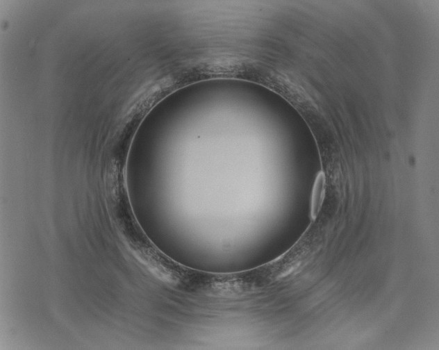 X0000074230744200609011241