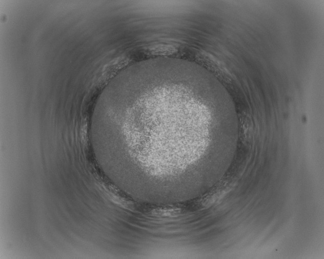 X0000074230745200609011241