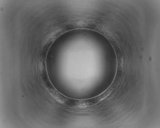 X0000074230746200609011241