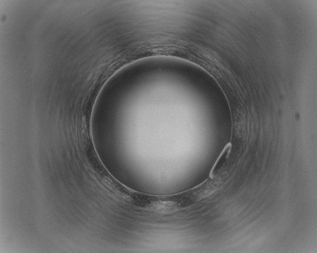 X0000074230748200609011241