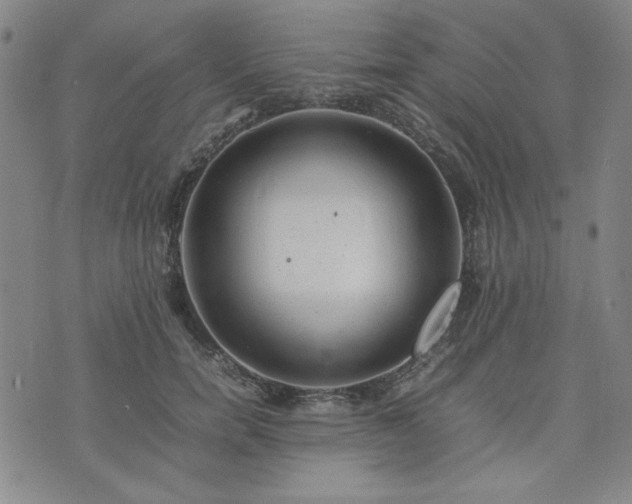 X0000074230750200609011241