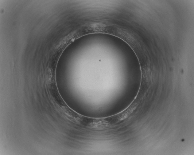 X0000074230752200609011241