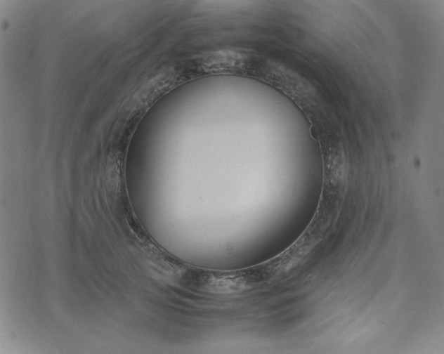 X0000074230753200609011241