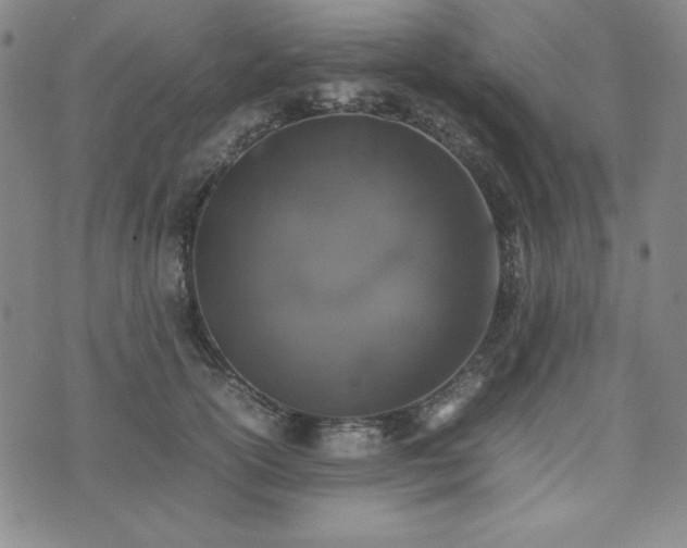 X0000074230754200609011241