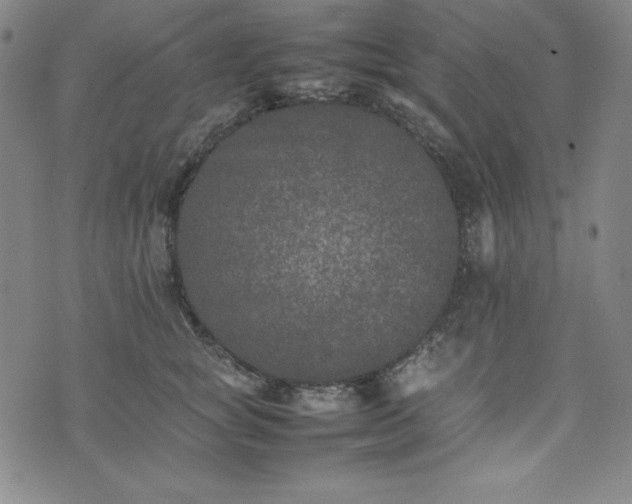 X0000074230757200609011241