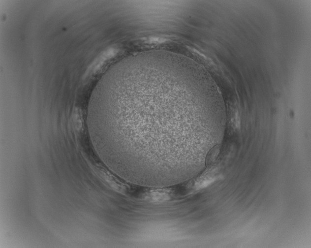 X0000074230758200609011241