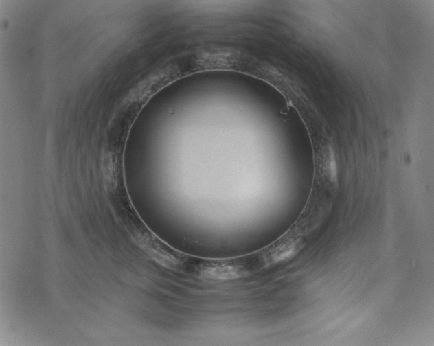 X0000074230759200609011241