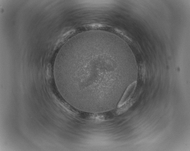 X0000074230760200609011241