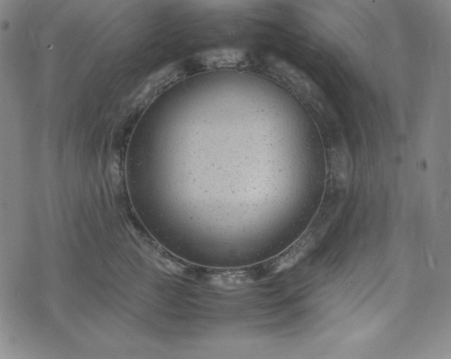 X0000074230761200609011241