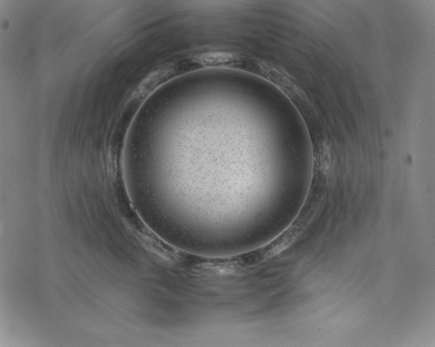 X0000074230763200609011241