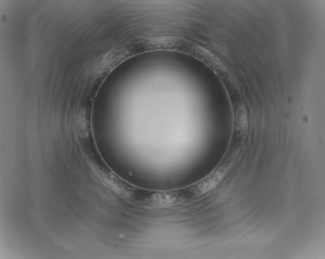 X0000074230764200609011241