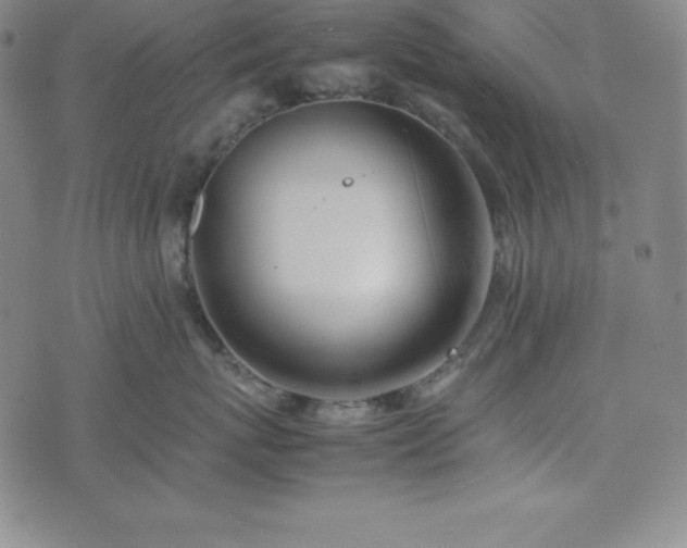 X0000074230767200609011242