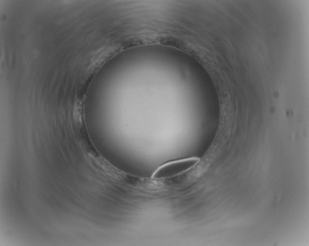 X0000074230768200609011242