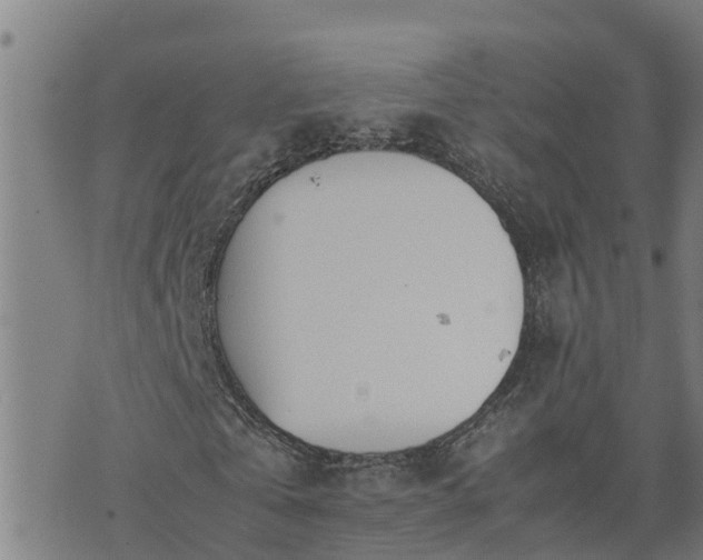 X0000074230769200609011241