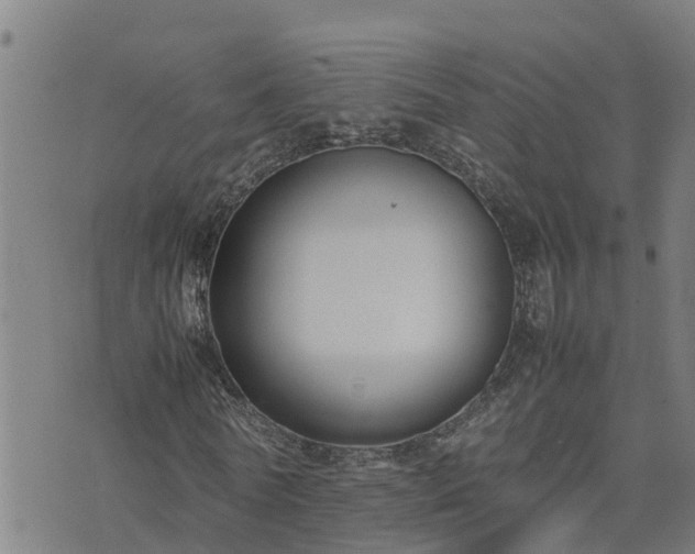 X0000074230770200609011241