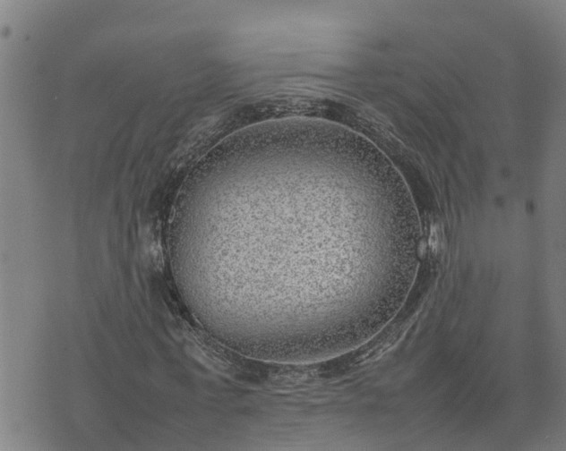 X0000074230771200609011241